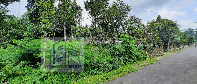 Tanah murah di winong boyolali 1