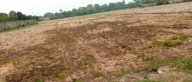 Tanah Murah Luas di Cikarang Timur Bekasi 1