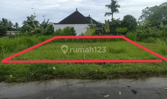 Tanah lokasi pinggir jalan utama Cau Belayu Ayunan 1