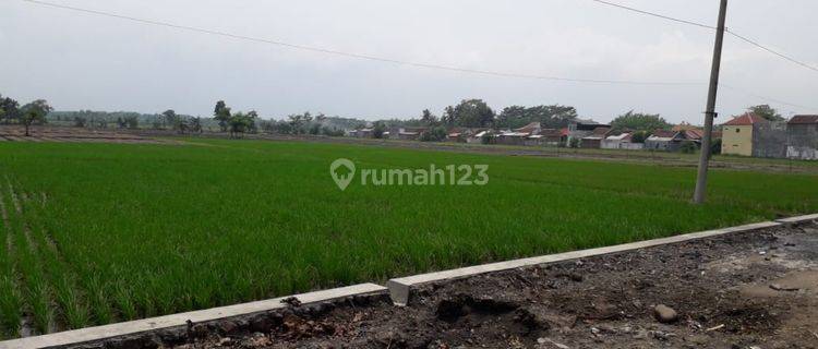 Tanah Industri Gending Probolinggo 1