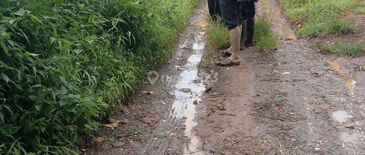 Lahan industri murah siap bangun di jepara jawa tengah 1