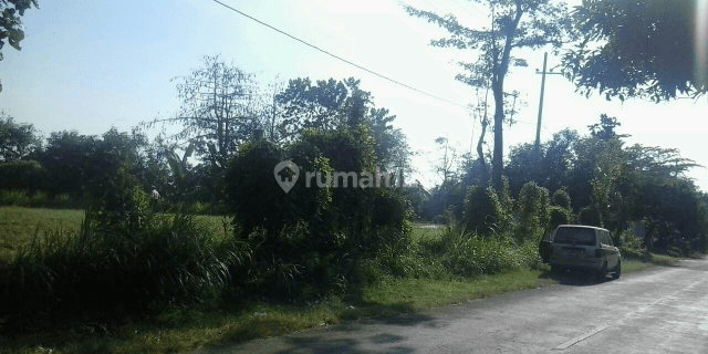 Jalan Raya Boto Jalan Utama antara Probolinggo dengan Bromo 1