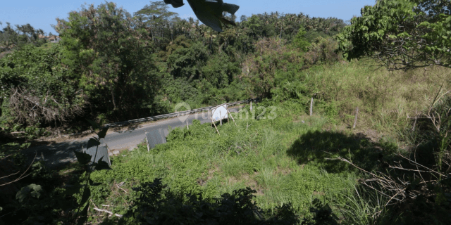 LAND WITH A VERY STRATEGIC AND RARE LOCATION IN KEMENUH UBUD 1