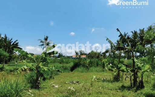 TANAH VIEW SAWAH MURAH DI SABA, GIANYAR, COCOK UNTUK VILLA / RUMAH PRIBADI 1