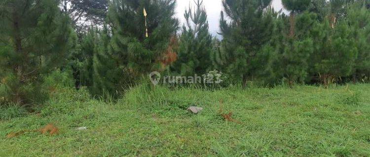 Tanah Lahan Murah Siap Bangun Dengan Luas 4.2 Hektar di Cipicung Cijeruk Bogor Jawa Barat 1