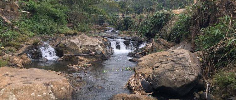 Tanah di Desa Cipanas, Kec Kebandungan Sukabumi 1