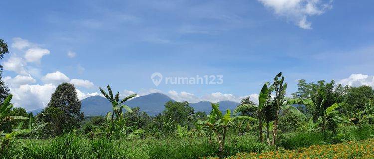 BEAUTIFUL LAND SUITABLE FOR BUSINESS AND VILLA IN PLAGA PETANG BADUNG BALI 1