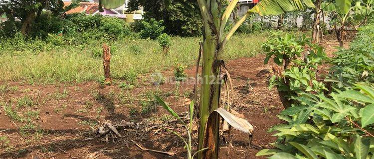 Tanah 2 Kavling Penancangan Lebak Gempol Serang 1