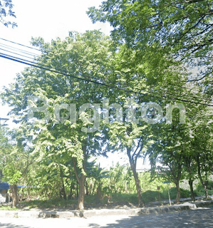 Tanah Industri Langka Turunan Toll Rungkut  1