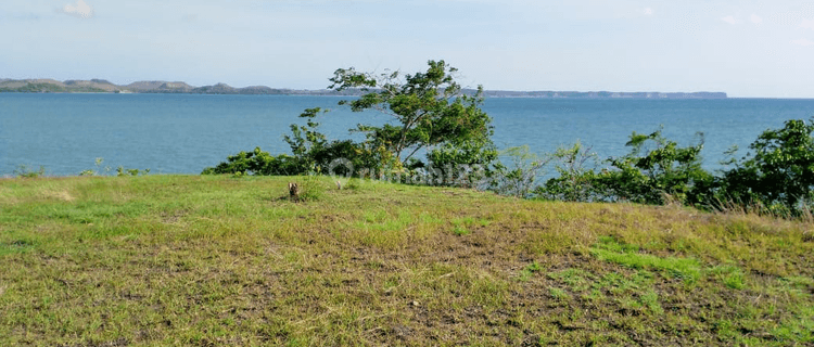 BEACH FRONT SAUNG LOMBOK 1