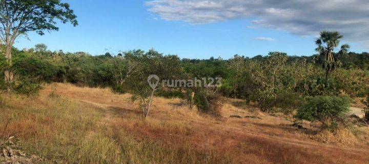 Tanah Jl. Tilong Dam, Kupang Tengah, NTT -T-0110 1