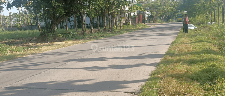 Lahan Industri Miraj di purwodadi Grobogan 1