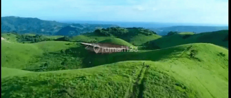 45 Hektar Kota Waikabubak Sumba Barat Spesial 1