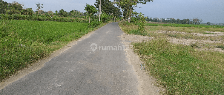 Tanah Darat Siap Bangun Di Waru Reja, Tegal Jawa Tengah 1