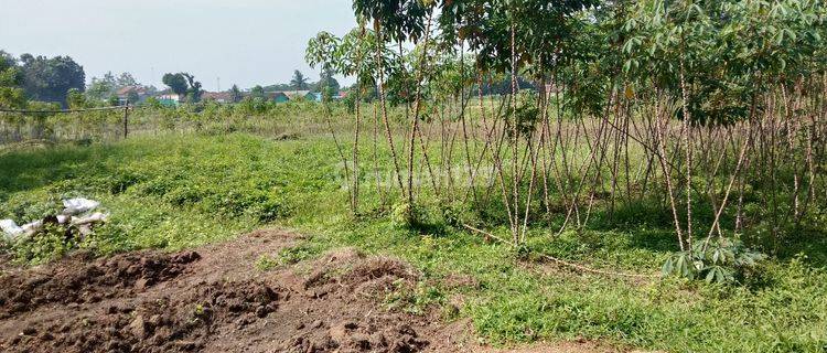 Tanah siap bangun cluster atau rumah subsidi 1