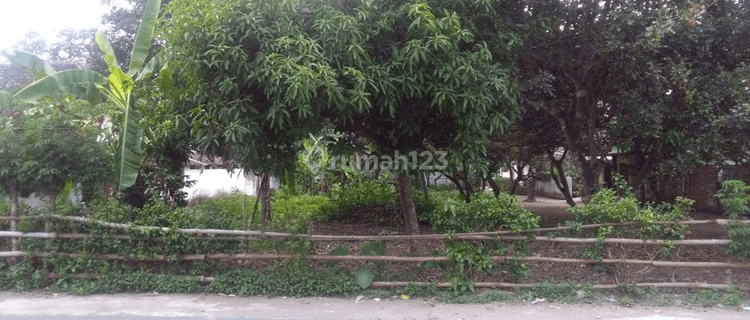 Butuh Uang ,Strategis ,Dekat makam Bung Karno 1