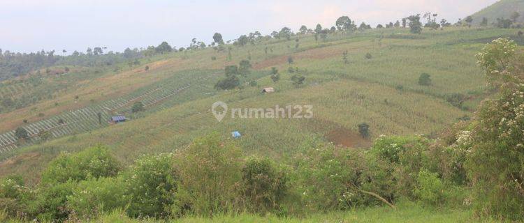 Dijual Segera Lahan 60 Ha Harga murah di Raya Cijapati Garut  1