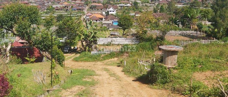 Spacious and Strategic Land with Beautiful Lake Views in Baturiti, Tabanan 1