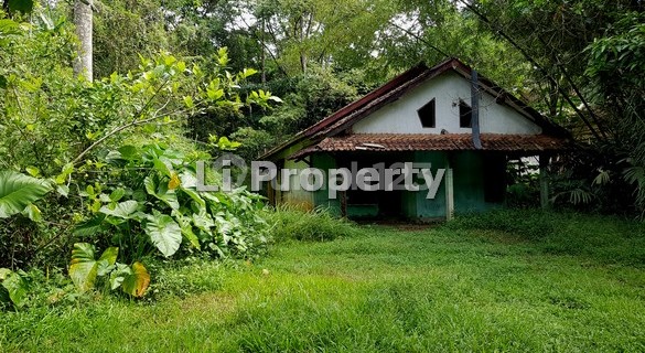 Malon, near Gunungpati Market, Mijen, Semarang. 1