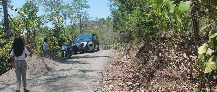 Cheap land for sale for rent in Jembrana Negara, Bali 1