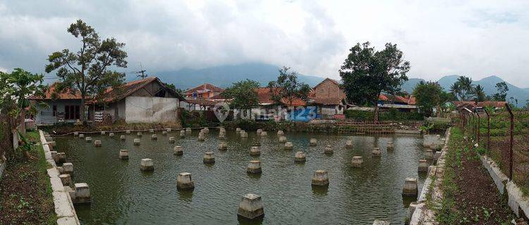 Tanah, Penggilangan Padi dan Balong Ikan Haurkuning Garut Harga nego Sampai Deal 1