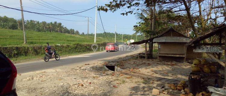 Tanah pinggir jalan cocok villa, perhotelan Di Lebak Banten 1