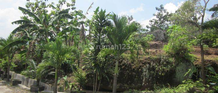 Tanah Murah Pusat Kota Wonogiri dekat Pasar Wonogiri 1