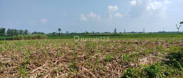 ZONA MERAH UNTUK KAWASAN INDUSTRI DI PURWODADI GROBOGAN  1