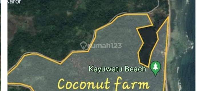 Tanah 80 H Di Pantai Kayuwatu Minahasa  Buat Area Wisata Pantai  1