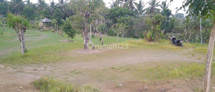 Land ready to build. View of eternal rice fields in Ubud 1