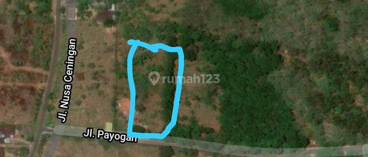 Cheap land in Jembrana Bali in the city 1