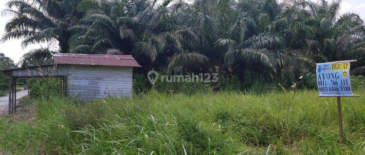 Dijual Tanah murah, tengah kota di Jl. Garuda Sakti km2,5 Jl. Suka Ramai - Pekanbaru 1