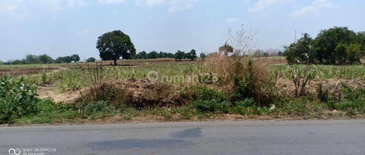 ZONA MERAH UNTUK KAWASAN INDUSTRI DIJUAL MURAH DI REMBANGN JAWA TENGAH  1