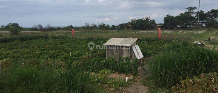 LANGKA! TANAH PREMIUM BEACH FRONT PANTAI LEBIH GIANYAR DEKAT SANUR 1