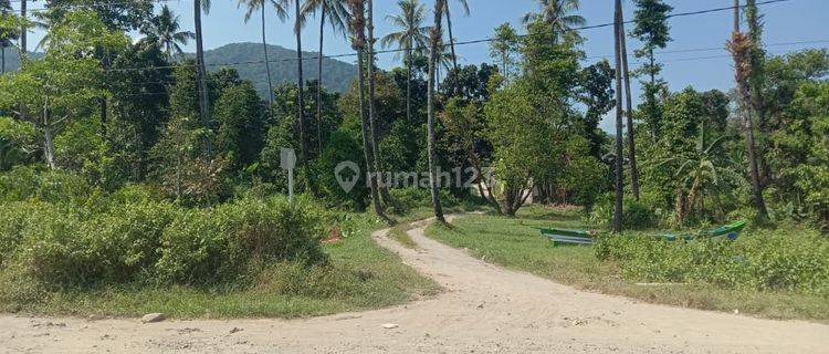 Tanah Pinggir Pantai Paniis Taman Nasional Ujung Kulon 1