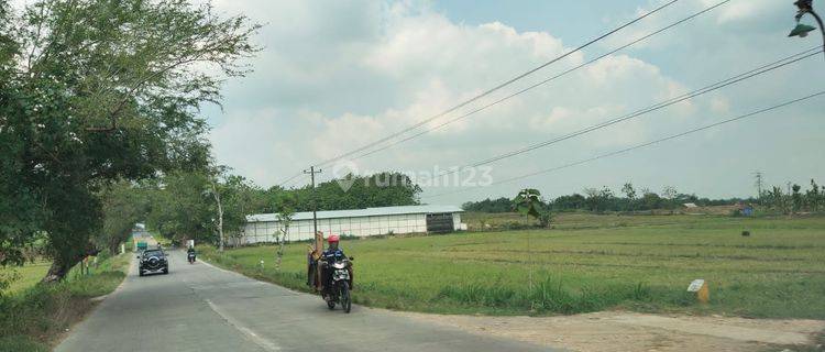 DIJUAL ZONA MERAH BUAT KAWASAN INDUSTRI DI PURWODADI GROBOGAN 1