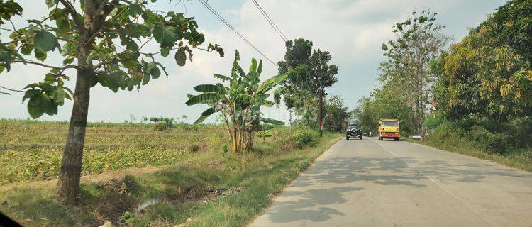 Dijual Zona merah di Purwodadi Grobogan 1