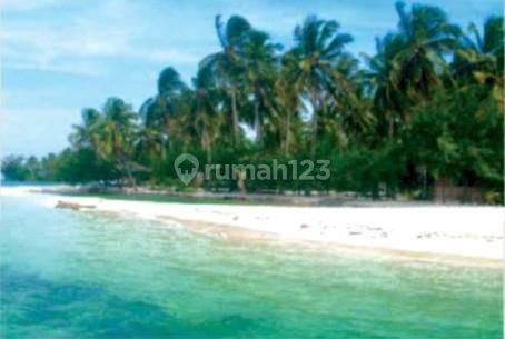 Tanah 44,5 HA di Pulau Karimunjawa, SHM, Area Wisata 1