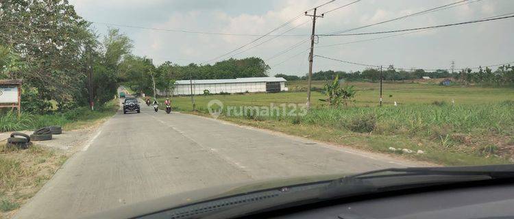 JUAL ZONA MERAH BUAT KAWASAN INDUSTRI DI PURWODADI GROBOGAN JAWA TENGAH 1