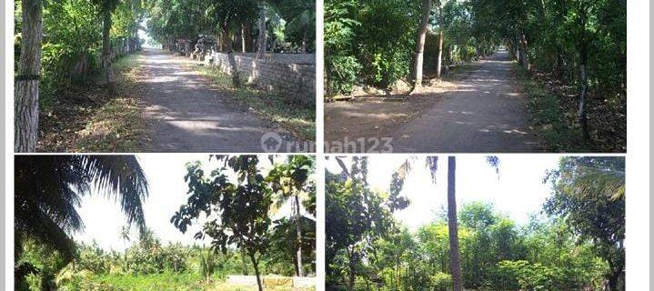 Suitable for villas, empty land, location 200 m to the sea, Sanggalangit Village, District. Gerokgak, District Buleleng, Bali 1