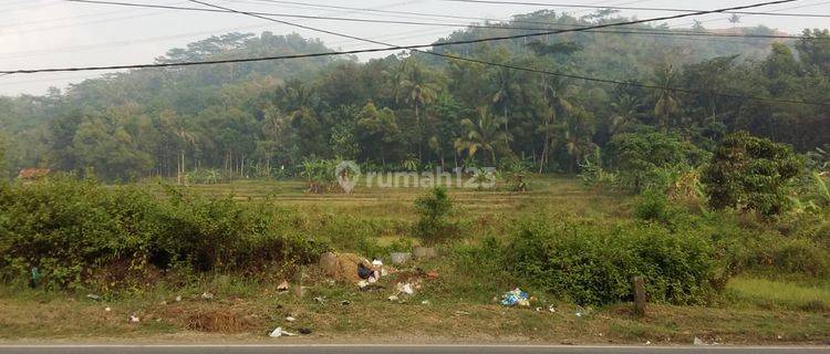 Tanah Strategis di Ajibarang, Banyumas 1