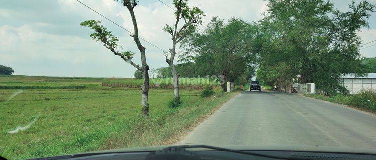 Jual Zona merah di Purwodadi Grobogan 1