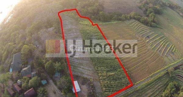 Cheap and Rare Land on Jl. Tegal Mengkeb, Tabanan Near Kelecung Beach 1