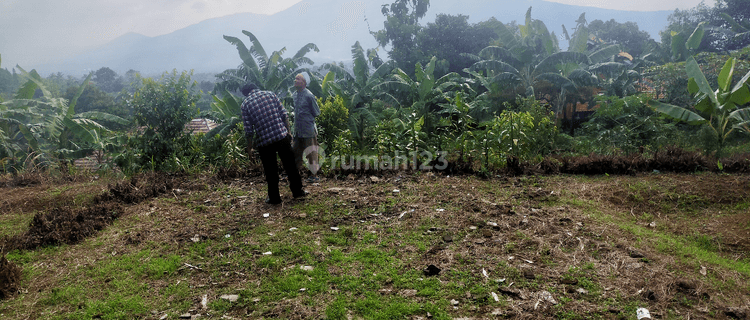 tanah murah rata nempel jalan view lepas ke gunung dicimande 1