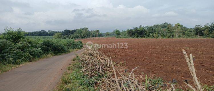 ZONA MERAH DI JEPARA JAWA TENGAH di jual 1