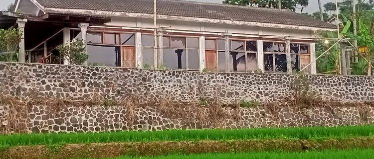 Dijual tanah sawah 1