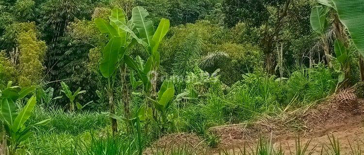 Tanah View Sawah Dan Lembah, Lingkungan Tenang Dan Sejuk Di Ubud 1