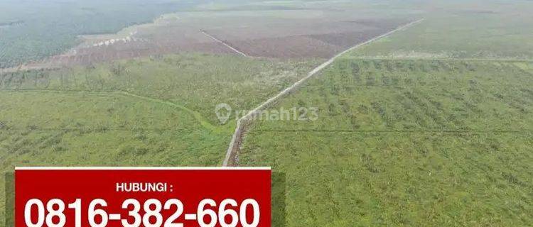 Lahan perkebunan 390 Ha + 600 Ha dekat Tanjung Lubuk OKI Sumsel 1