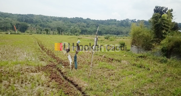 Kavling di Sidorejo Tambangan Mijen Semarang 1