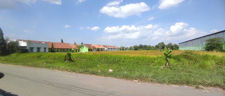 Tanah di Lahan Industri dan Pergudangan Dekat Pintu Tol Plumbon Cirebon 1